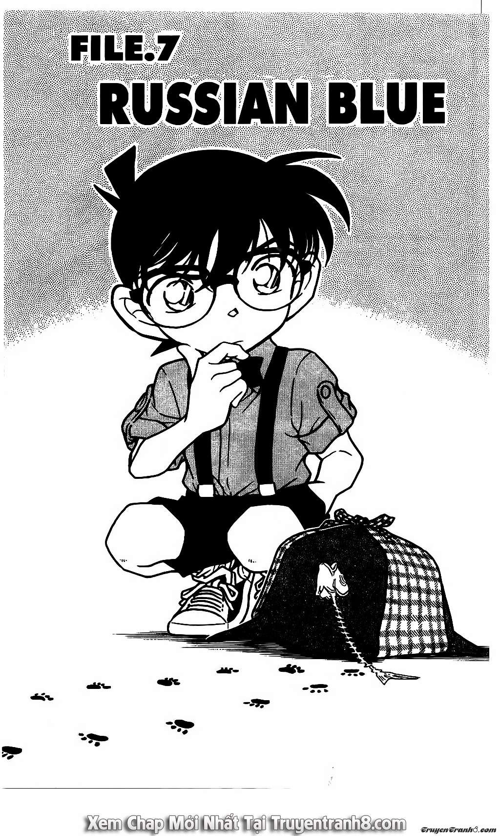 https://cdn.nettruyenmax.vn/149/149906/conan-chapter-528-p-0.jpg